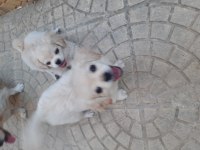 3 aylık bebeklerim anne baba anneanne bende