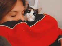 İlgi delisi, kucak bağımlısı dişi kedimiz