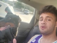 2 Yaşında SECERELİ Dişi DOBERMANN