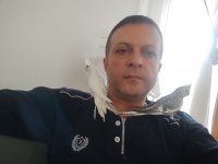 Özenle bakılmış bir çift sultan papağanı