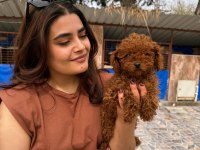 Kıvır Kıvır Kore Poodle Bebekler