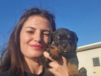 ONLAR DÜNYA ŞAMPIYONU ROTTWEİLER TORUNLARI