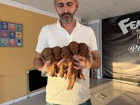 shoooowwww kalite toy poodle yavrular ankara mağazamızda