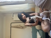Dişi pug 1 yaş