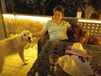 Beyaz Golden Retriever