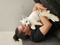 Çok özel husky bebeğim