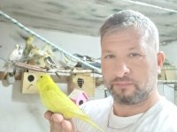 Konuşturmalık bebek muhabbet kuşlar