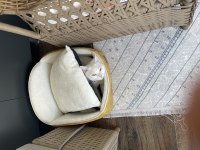 UYSAL TEMİZ ERKEK KISIR ANKARA KEDİSİ