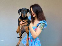 İri doberman yavrularım