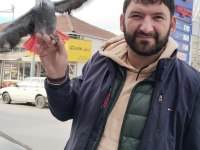 Yavru ve Yetişkin Jako Papağanı Mevcut