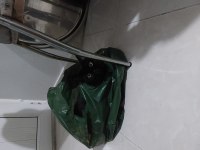 Siyah yetişkin 3 yaşında erkek kedimiz