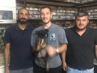 6 Yıllık emeğin sonucu malinois yavrular (yasal çiftlikten)