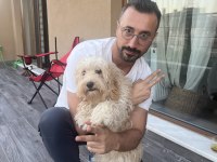 8 aylık maltipoo ücretsiz sahiplendirme