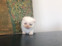 Eşsiz Red sizlerle