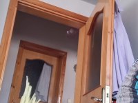 Temiz çift sultan papağanı