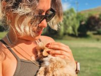 TEA CUP MALTİPOO YAVRULARİ ISTANBUL 