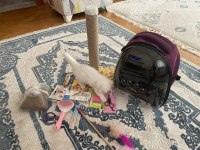 Minik british longhair kullanılmamış eşyaları ile