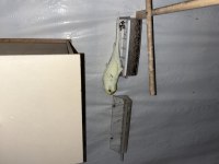 7 erkek ve 7 dişi üremeye hazır yetişkin muhabbet kuşlar