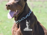 Von dadashov soylu doberman bebekler