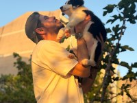 tertemiz harika border collie