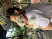 3 Aylık Köpeğimiz