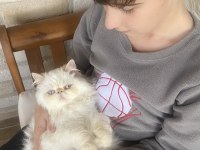 SAFKAN İRAN PERSİAN KIZIMA EŞ ARIYORUM