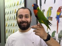 Rainbow gökkuşağı lori papağanımız evcil konuşan