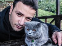 Erkek british kedimiz ücretsiz