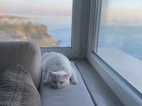 3 nesildir bende olan ailenin göz bebekleri