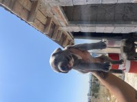 Cane corso yavrular