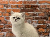 TÜRKİYENİN HER YERİNE SORUNSUZ GÖNDERİM SAĞLIYORUZ