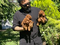 Ankaranın Tek Pet Danışmanlığı