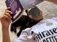 Çok Cana yakın sevimli erkek british shorthair yavrular