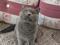 Yuva Arıyoruz