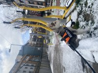 6 AYLIK HUSKY