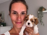 Cavalier King Charles Yavrularımız