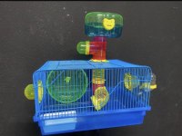 Hamster için ulaşın