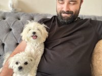 Dişi ve Erkek maltese terrier kore kan 1 numara