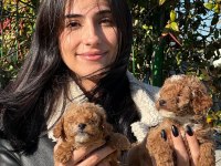 MALTİPOO SEVİMLİ BEBEKLERİMİZ
