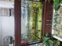 100×50 cm 250 litre tam takım akvaryum