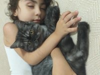 1 YAŞINDA EXOTİC KEDİMİZ KAYSERİ DİŞİ