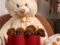 TEACUP KORE POODLE BEBEKLER AŞILI VE ÇİŞ  EĞİTİMLİ 