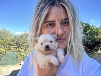Pomeranian Boo Yavruları