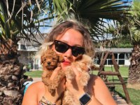 Teacup Maltipoo Bebekleri Sizleri Bekliyor