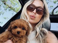 Teacup Maltipoo Yavrular