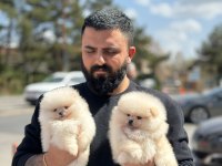 Ankaranın Tek Pet Danışmanlığı 