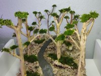 Akvaryum Dekoru Moss Ağacı