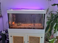 1 CM CAM EL YAPIMI DEMİR PROFİL MOBİLYALI AKVARYUM
