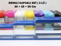 Akvaryum yeni nesil