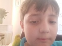 Çocuklar için sağlıklı tertemiz muhabbet kuşları